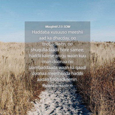 Picture 04 - Muujintii 2:5 SOM - Haddaba xusuuso meeshii aad ka dhacday, oo - Bible Verse Picture