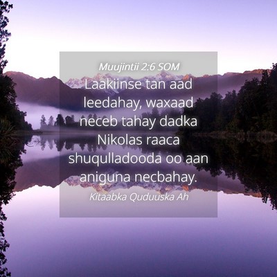 Picture 04 - Muujintii 2:6 SOM - Laakiinse tan aad leedahay, waxaad neceb tahay - Bible Verse Picture