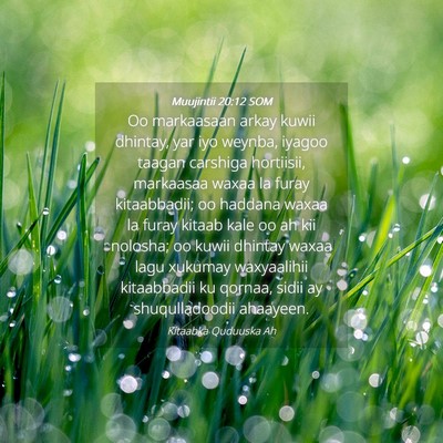 Picture 04 - Muujintii 20:12 SOM - Oo markaasaan arkay kuwii dhintay, yar iyo - Bible Verse Picture