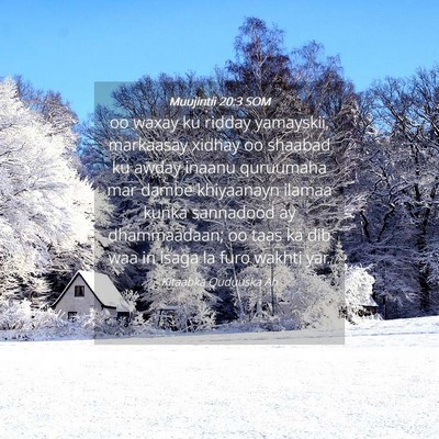 Picture 04 - Muujintii 20:3 SOM - oo waxay ku ridday yamayskii, markaasay xidhay oo - Bible Verse Picture