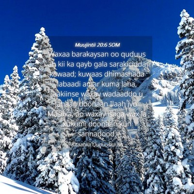 Picture 04 - Muujintii 20:6 SOM - Waxaa barakaysan oo quduus ah kii ka qayb gala - Bible Verse Picture
