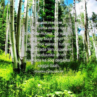 Picture 04 - Muujintii 21:10 SOM - Oo iyana waxay igu qaadday Ruuxa, oo waxay i - Bible Verse Picture