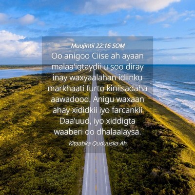 Picture 04 - Muujintii 22:16 SOM - Oo anigoo Ciise ah ayaan malaa'igtaydii u soo - Bible Verse Picture