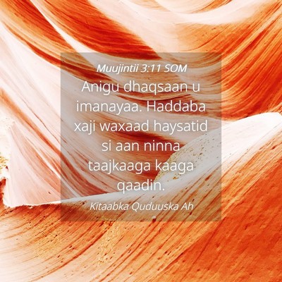 Picture 04 - Muujintii 3:11 SOM - Anigu dhaqsaan u imanayaa. Haddaba xaji waxaad - Bible Verse Picture
