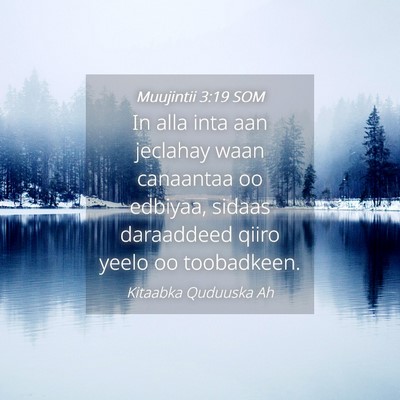 Picture 04 - Muujintii 3:19 SOM - In alla inta aan jeclahay waan canaantaa oo - Bible Verse Picture