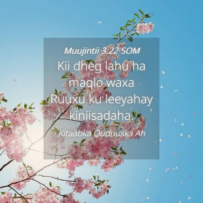 Picture 04 - Muujintii 3:22 SOM - Kii dheg lahu ha maqlo waxa Ruuxu ku leeyahay - Bible Verse Picture