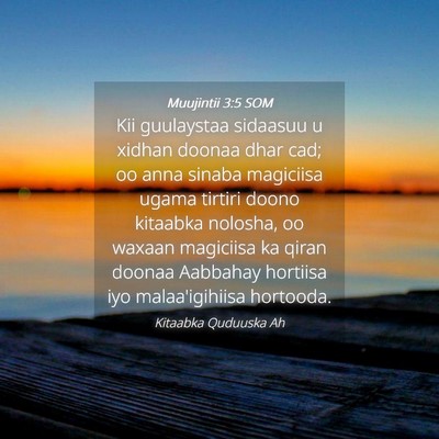 Picture 04 - Muujintii 3:5 SOM - Kii guulaystaa sidaasuu u xidhan doonaa dhar cad; - Bible Verse Picture
