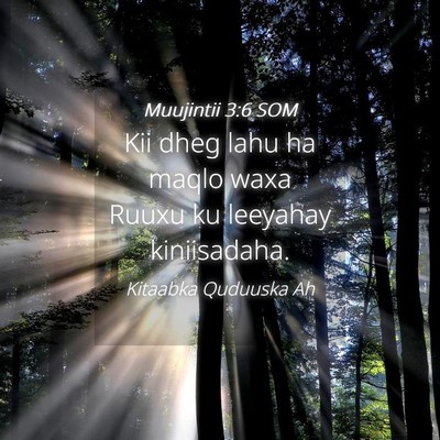 Picture 04 - Muujintii 3:6 SOM - Kii dheg lahu ha maqlo waxa Ruuxu ku leeyahay - Bible Verse Picture