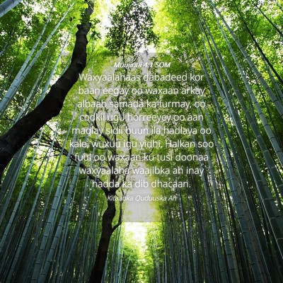 Picture 04 - Muujintii 4:1 SOM - Waxyaalahaas dabadeed kor baan eegay oo waxaan - Bible Verse Picture