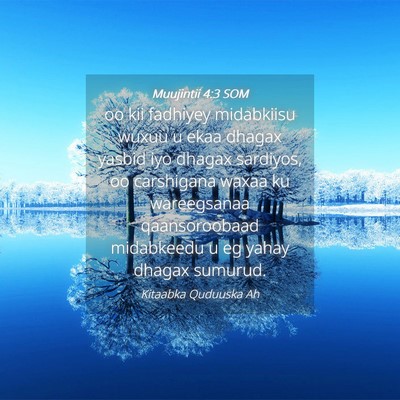 Picture 04 - Muujintii 4:3 SOM - oo kii fadhiyey midabkiisu wuxuu u ekaa dhagax - Bible Verse Picture
