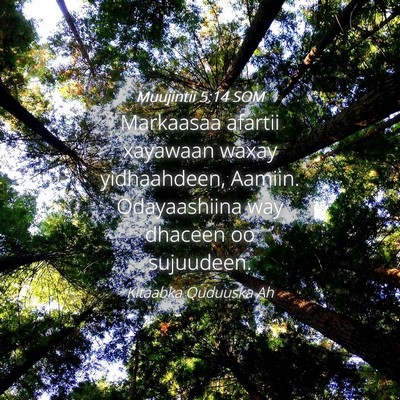 Picture 04 - Muujintii 5:14 SOM - Markaasaa afartii xayawaan waxay yidhaahdeen, - Bible Verse Picture