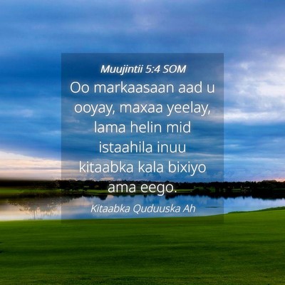 Picture 04 - Muujintii 5:4 SOM - Oo markaasaan aad u ooyay, maxaa yeelay, lama - Bible Verse Picture