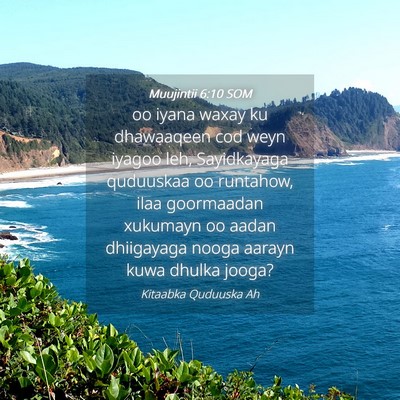 Picture 04 - Muujintii 6:10 SOM - oo iyana waxay ku dhawaaqeen cod weyn iyagoo leh, - Bible Verse Picture