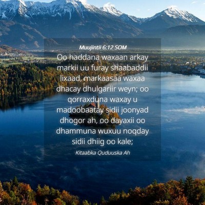 Picture 04 - Muujintii 6:12 SOM - Oo haddana waxaan arkay markii uu furay - Bible Verse Picture