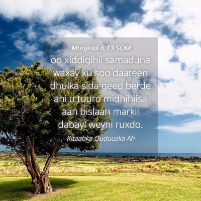 Picture 04 - Muujintii 6:13 SOM - oo xiddigihii samaduna waxay ku soo daateen - Bible Verse Picture
