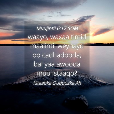 Picture 04 - Muujintii 6:17 SOM - waayo, waxaa timid maalintii weynayd oo - Bible Verse Picture