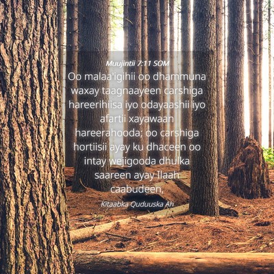 Picture 04 - Muujintii 7:11 SOM - Oo malaa'igihii oo dhammuna waxay taagnaayeen - Bible Verse Picture