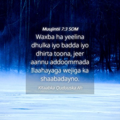 Picture 04 - Muujintii 7:3 SOM - Waxba ha yeelina dhulka iyo badda iyo dhirta - Bible Verse Picture