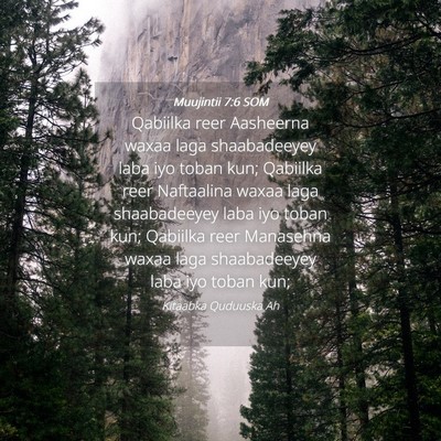 Picture 04 - Muujintii 7:6 SOM - Qabiilka reer Aasheerna waxaa laga shaabadeeyey - Bible Verse Picture