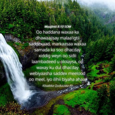 Picture 04 - Muujintii 8:10 SOM - Oo haddana waxaa ka dhawaajisay malaa'igtii - Bible Verse Picture