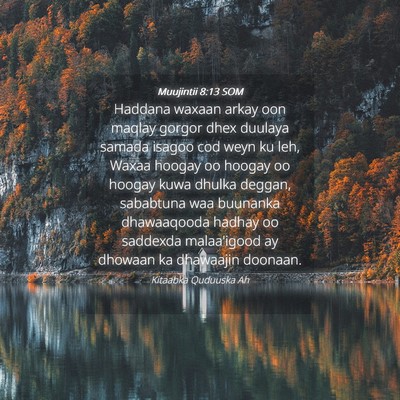 Picture 04 - Muujintii 8:13 SOM - Haddana waxaan arkay oon maqlay gorgor dhex - Bible Verse Picture