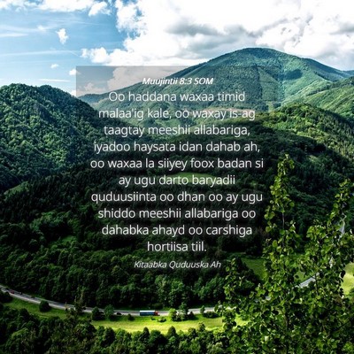 Picture 04 - Muujintii 8:3 SOM - Oo haddana waxaa timid malaa'ig kale, oo waxay - Bible Verse Picture