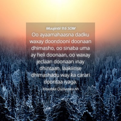 Picture 04 - Muujintii 9:6 SOM - Oo ayaamahaasna dadku waxay doondooni doonaan - Bible Verse Picture