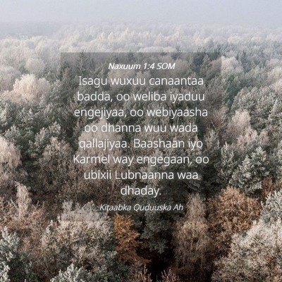 Picture 04 - Naxuum 1:4 SOM - Isagu wuxuu canaantaa badda, oo weliba iyaduu - Bible Verse Picture