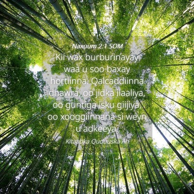 Picture 04 - Naxuum 2:1 SOM - Kii wax burburinayay waa u soo baxay hortiinna. - Bible Verse Picture