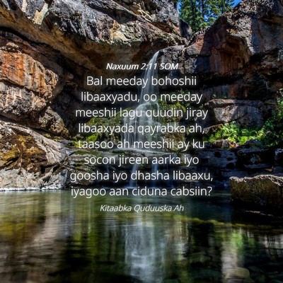 Picture 04 - Naxuum 2:11 SOM - Bal meeday bohoshii libaaxyadu, oo meeday meeshii - Bible Verse Picture