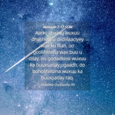 Picture 04 - Naxuum 2:12 SOM - Aarkii libaaxu wuxuu dhashiisii u dildillaaciyey - Bible Verse Picture