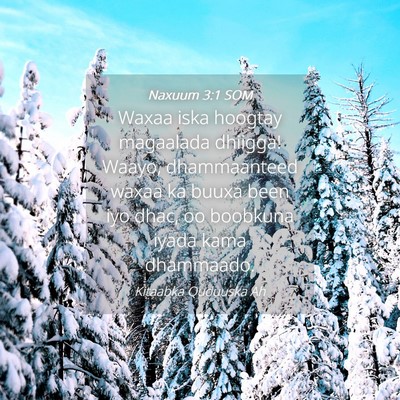 Picture 04 - Naxuum 3:1 SOM - Waxaa iska hoogtay magaalada dhiigga! Waayo, - Bible Verse Picture