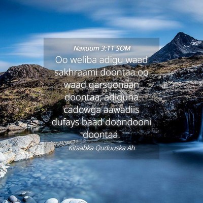Picture 04 - Naxuum 3:11 SOM - Oo weliba adigu waad sakhraami doontaa oo waad - Bible Verse Picture