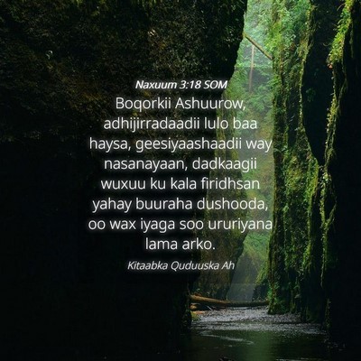 Picture 04 - Naxuum 3:18 SOM - Boqorkii Ashuurow, adhijirradaadii lulo baa - Bible Verse Picture