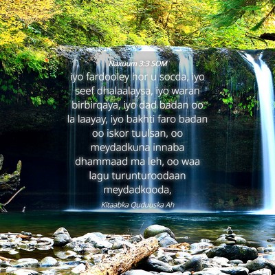 Picture 04 - Naxuum 3:3 SOM - iyo fardooley hor u socda, iyo seef dhalaalaysa, - Bible Verse Picture