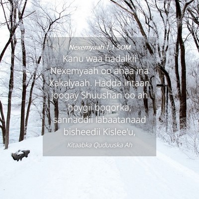Picture 04 - Nexemyaah 1:1 SOM - Kanu waa hadalkii Nexemyaah oo ahaa ina - Bible Verse Picture