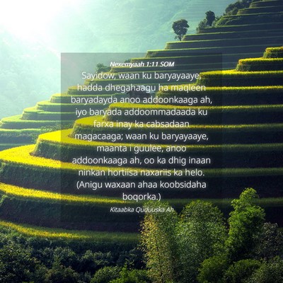 Picture 04 - Nexemyaah 1:11 SOM - Sayidow, waan ku baryayaaye, hadda dhegahaagu ha - Bible Verse Picture