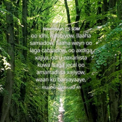 Picture 04 - Nexemyaah 1:5 SOM - oo idhi, Rabbiyow, Ilaaha samadow, Ilaaha weyn oo - Bible Verse Picture