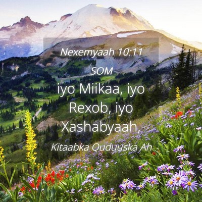 Picture 04 - Nexemyaah 10:11 SOM - iyo Miikaa, iyo Rexob, iyo - Bible Verse Picture