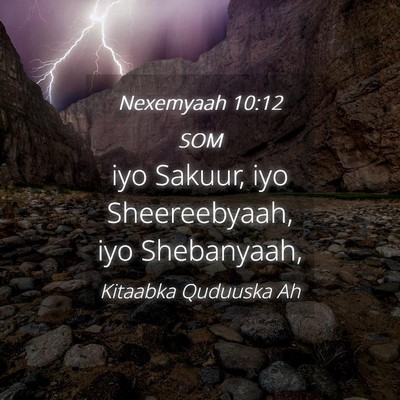 Picture 04 - Nexemyaah 10:12 SOM - iyo Sakuur, iyo Sheereebyaah, iyo - Bible Verse Picture