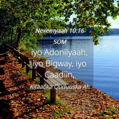 Picture 04 - Nexemyaah 10:16 SOM - iyo Adoniiyaah, iyo Bigway, iyo - Bible Verse Picture
