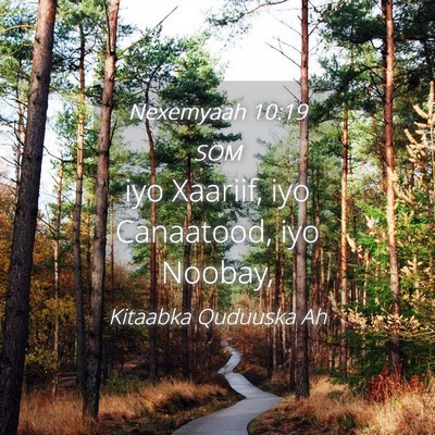 Picture 04 - Nexemyaah 10:19 SOM - iyo Xaariif, iyo Canaatood, iyo - Bible Verse Picture