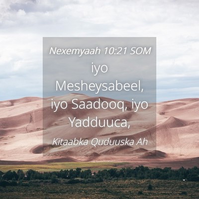 Picture 04 - Nexemyaah 10:21 SOM - iyo Mesheysabeel, iyo Saadooq, iyo - Bible Verse Picture