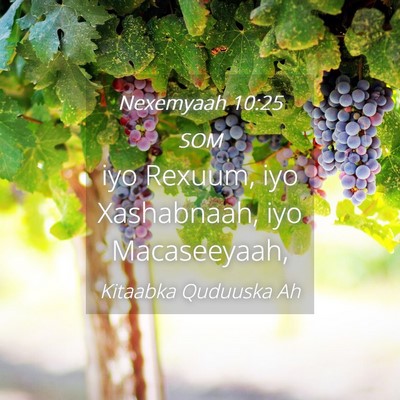 Picture 04 - Nexemyaah 10:25 SOM - iyo Rexuum, iyo Xashabnaah, iyo - Bible Verse Picture