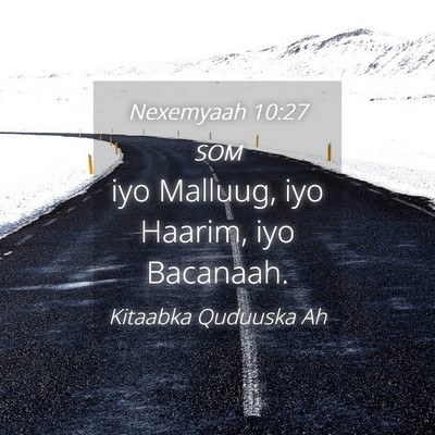 Picture 04 - Nexemyaah 10:27 SOM - iyo Malluug, iyo Haarim, iyo - Bible Verse Picture