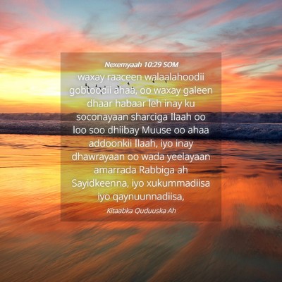 Picture 04 - Nexemyaah 10:29 SOM - waxay raaceen walaalahoodii gobtoodii ahaa, oo - Bible Verse Picture