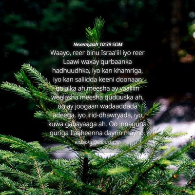 Picture 04 - Nexemyaah 10:39 SOM - Waayo, reer binu Israa'iil iyo reer Laawi waxay - Bible Verse Picture