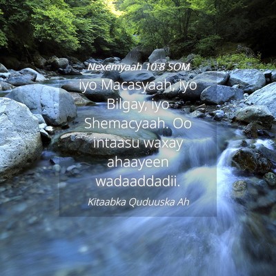 Picture 04 - Nexemyaah 10:8 SOM - iyo Macasyaah, iyo Bilgay, iyo Shemacyaah. Oo - Bible Verse Picture