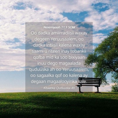Picture 04 - Nexemyaah 11:1 SOM - Oo dadka amiirradiisii waxay degeen Yeruusaalem, - Bible Verse Picture