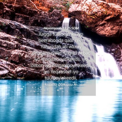 Picture 04 - Nexemyaah 11:25 SOM - Xagga tuulooyinkii iyo beerahooda qaar reer - Bible Verse Picture